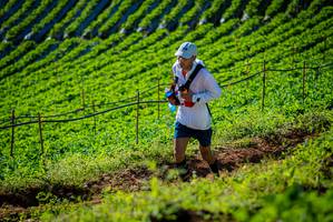 BIB: 
                            <button type="button" onclick="openModal(19160602)" class="btn btn-primary btn-sm float-right btn-popup" data-toggle="modal" data-target=".modal-high-quality">
                        <i class="fas fa-shopping-cart"></i> Add to Cart
                    </button>
                                            <button type="button" onclick="isThisMe(19160602, true)" class="btn btn-success btn-sm float-right btn-popup btn-isme hidden" data-toggle="tooltip" data-placement="bottom" title="นี่คือรูปของคุณใช่ไหม คลิกที่นี่เพื่อเอาเข้าอัลบั้ม">
                        <i class="fas fa-plus"></i> Add to album
                    </button>
                    <button type="button" onclick="isThisMe(19160602, false)" class="btn btn-warning btn-sm float-right btn-popup btn-isnotme hidden">
                        <i class="fas fa-ban"></i> Remove from album
                    </button>